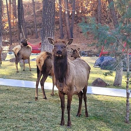 Sierra Blanca Cabins Hotell Ruidoso Exteriör bild